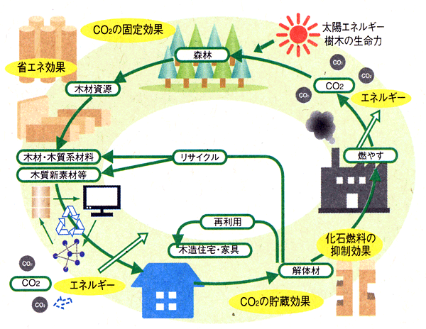 ふくい木ごころネット／サイクル