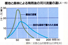 ふくい木ごころネット／洪水や土砂崩れの防止