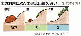 ふくい木ごころネット／洪水や土砂崩れの防止